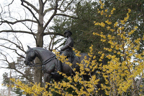 Picture of Memorial Arboretum