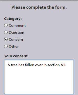 Feedback Comment