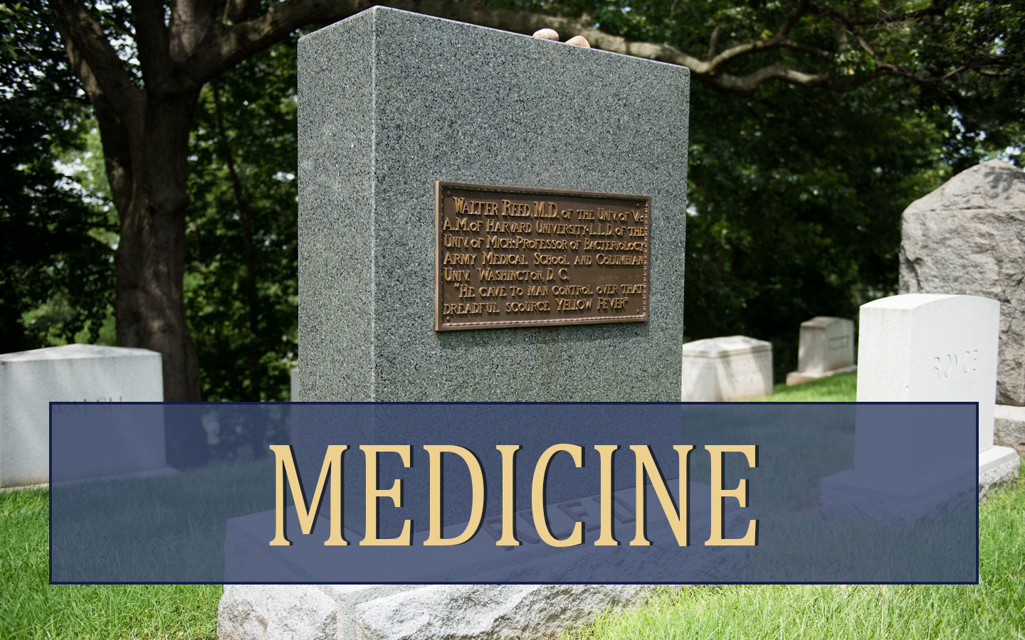 Medical figures