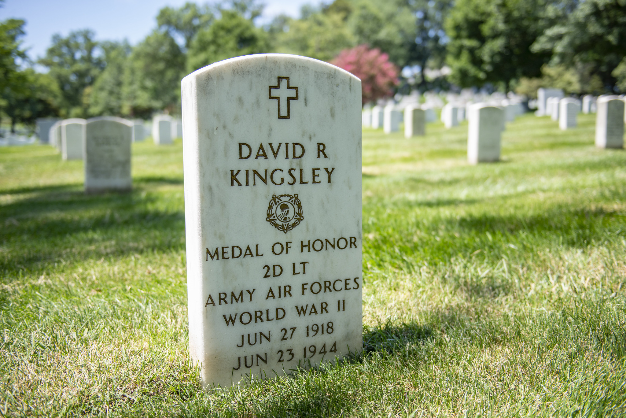 david r kingsley grave marker