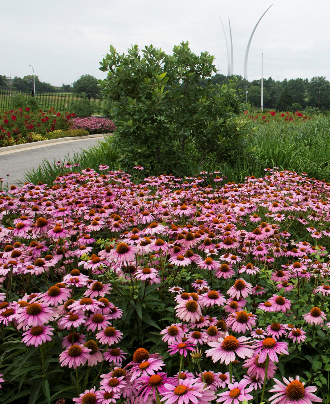 Rain Gardens at Arlington National Cemetery
