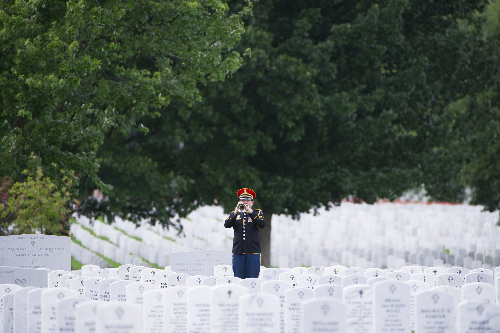 Arlington National Cemetery > Funerals > About Funerals > Military