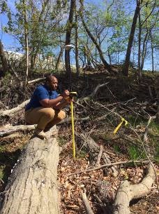 mapping invasive plants at ANC