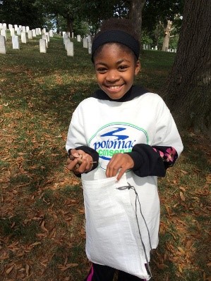 A boy collecting seeds at Arlington National Cemetery