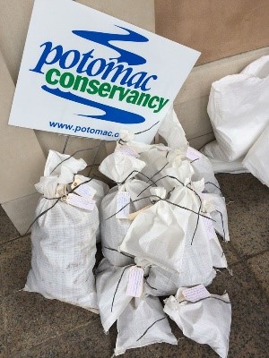 Over 3,000 pounds of seeds have been collected at the cemetery