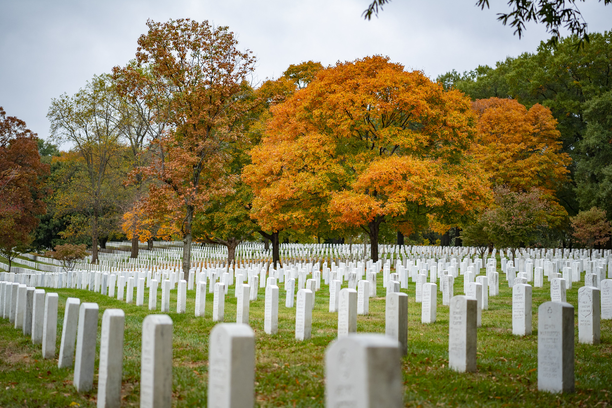 explore-arboretum-fall Fall foliage at Memorial Arboretum